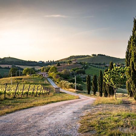 Montalto delle Marche Recchi Franceschini Bike Hotel Last - Minute - Availability المظهر الخارجي الصورة