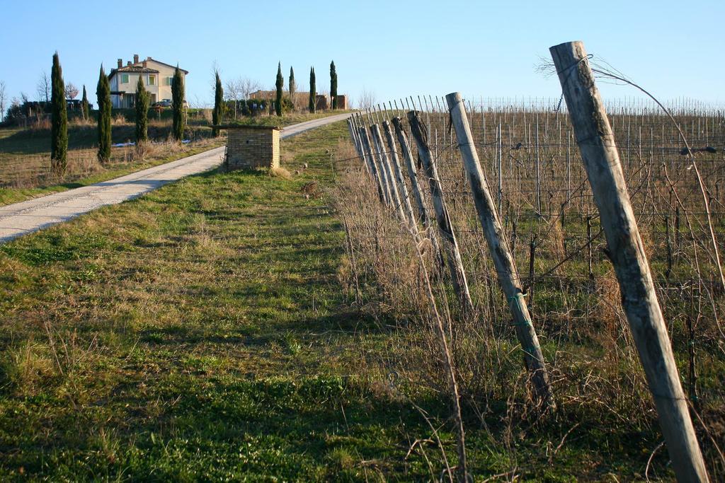 Montalto delle Marche Recchi Franceschini Bike Hotel Last - Minute - Availability المظهر الخارجي الصورة